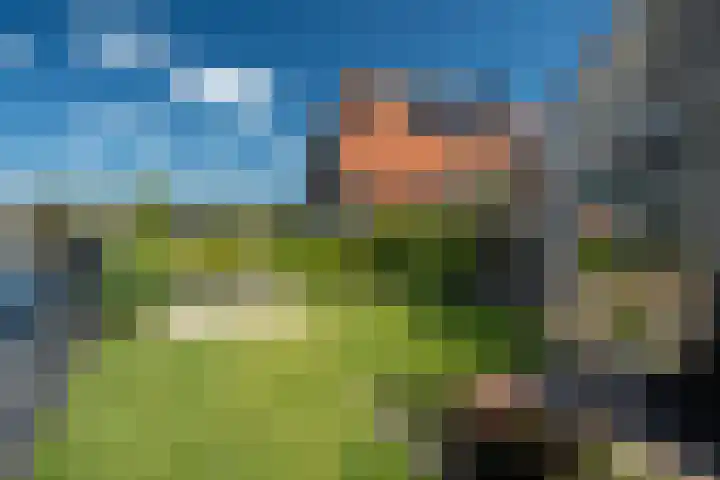 Steenloper 27 Lemmer thumbnail 11