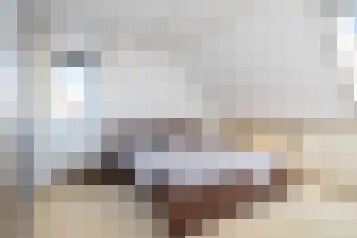Steenloper 27 Lemmer thumbnail 33
