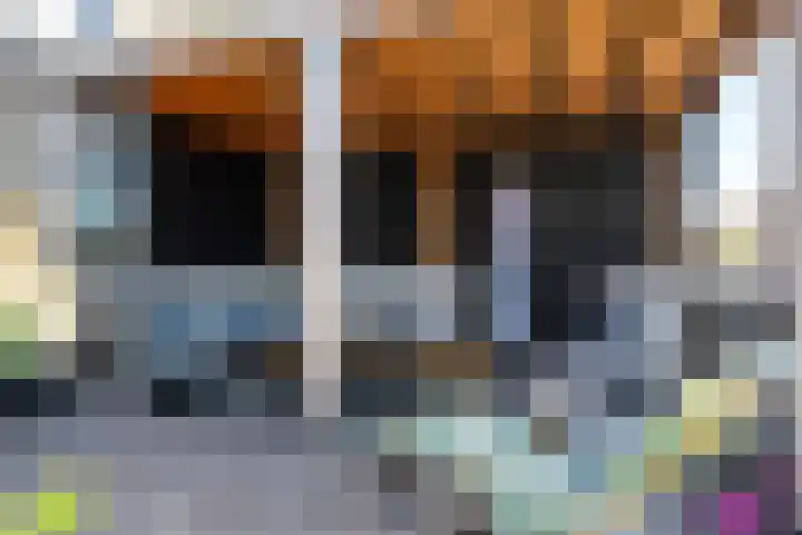 Steenloper 27 Lemmer thumbnail 4
