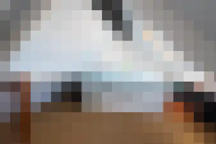 Steenloper 27 Lemmer thumbnail 42