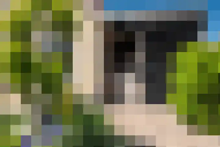 Steenloper 27 Lemmer thumbnail 8