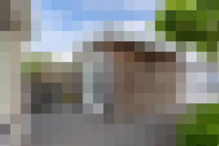 Steenloper 43 Lemmer thumbnail 21
