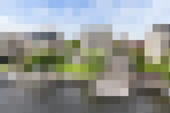 Steenloper 43 Lemmer thumbnail 29