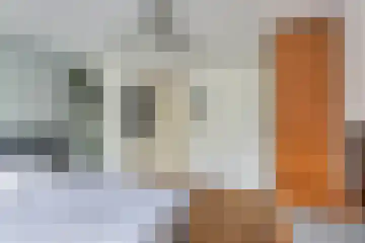Steenloper 43 Lemmer thumbnail 33