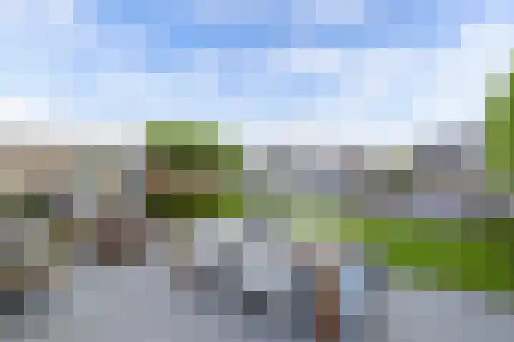 Steenloper 43 Lemmer thumbnail 4