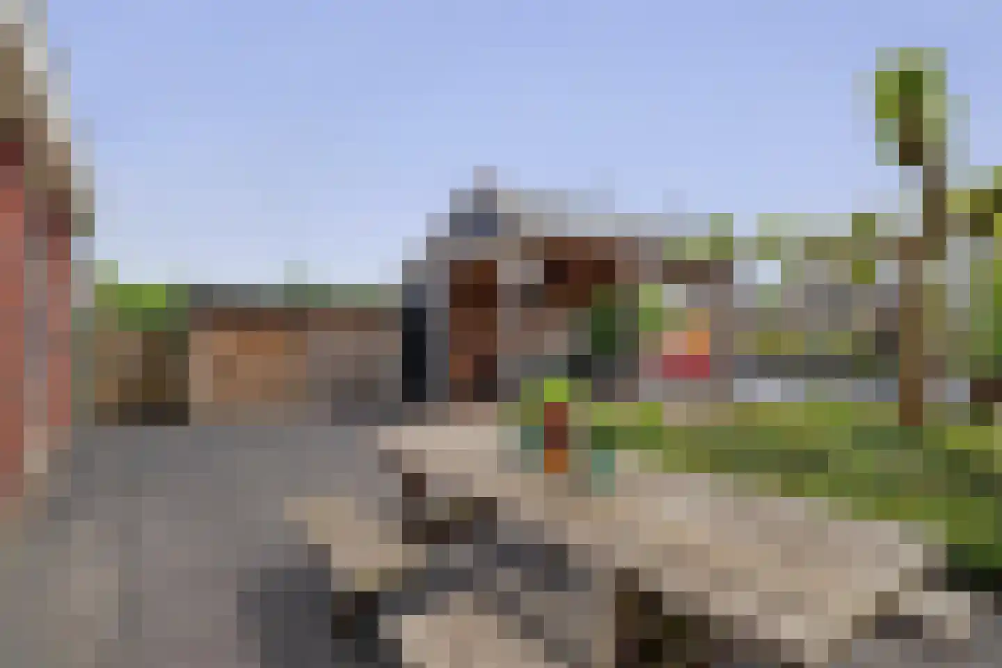 Steenloper 77 Lemmer thumbnail 22