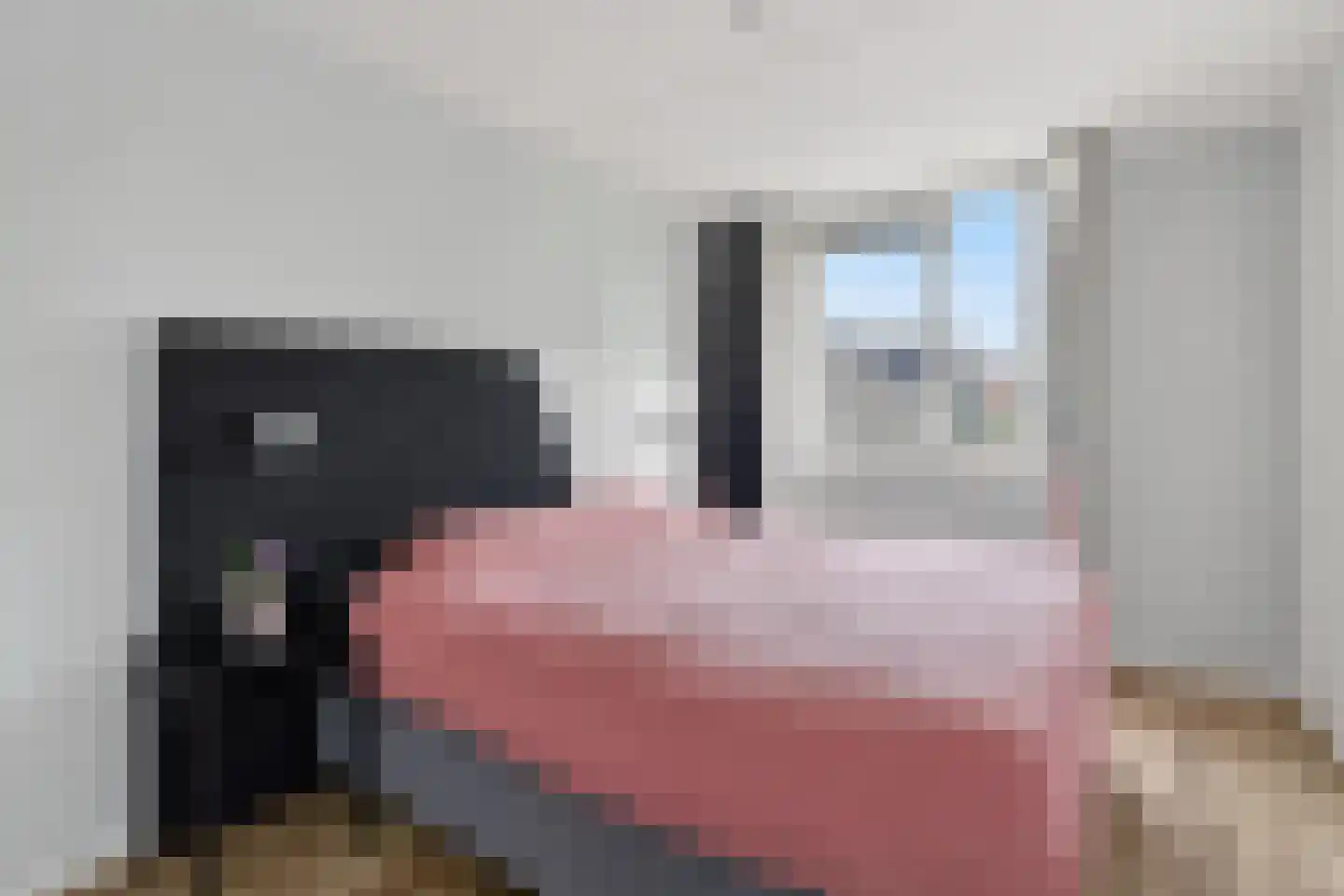 Steenloper 77 Lemmer thumbnail 33