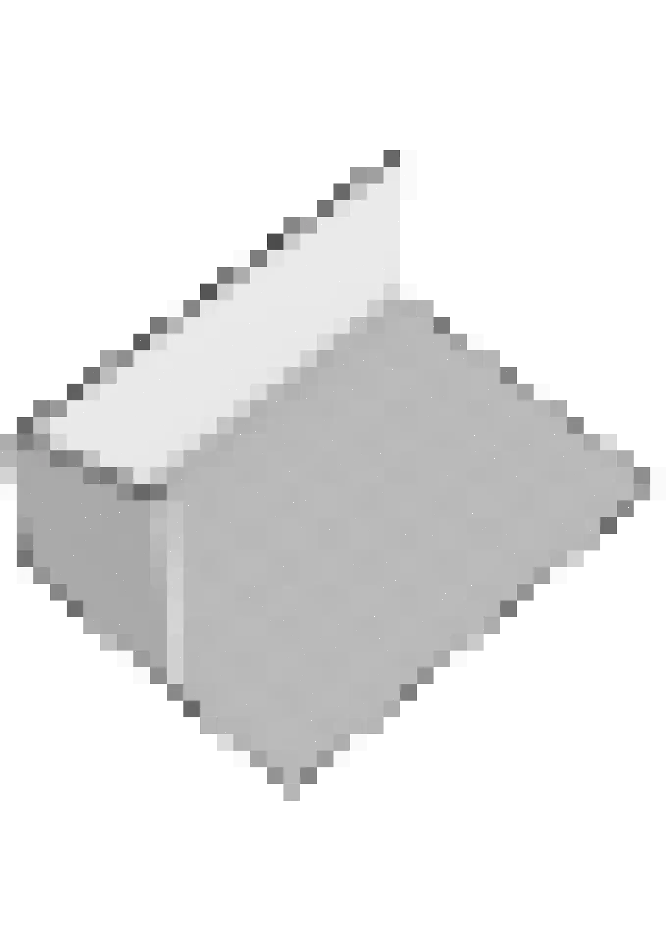 Steenloper 77 Lemmer thumbnail 57