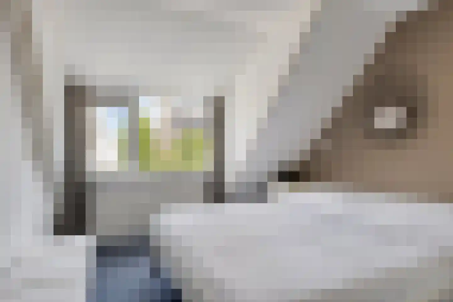 Steenloperstraat 17 Heinkenszand thumbnail 22