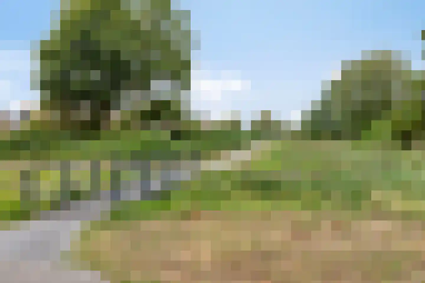 Steenloperstraat 17 Heinkenszand thumbnail 35