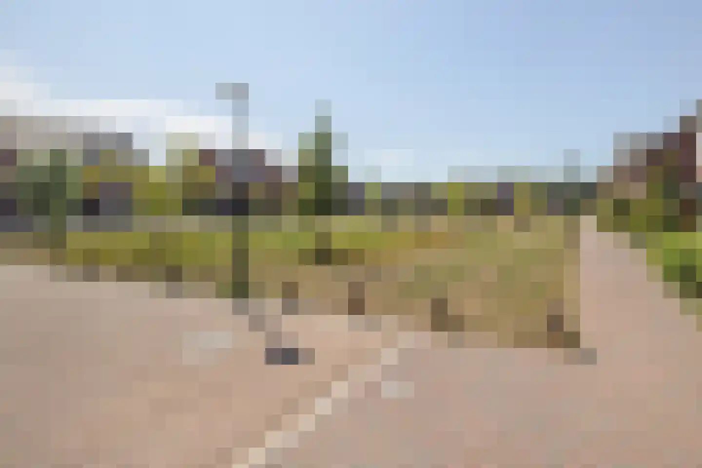 Steenmarter 12 Boxtel thumbnail 11