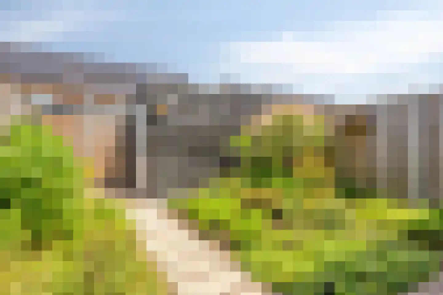 Steenmarter 16 Boxtel thumbnail 33