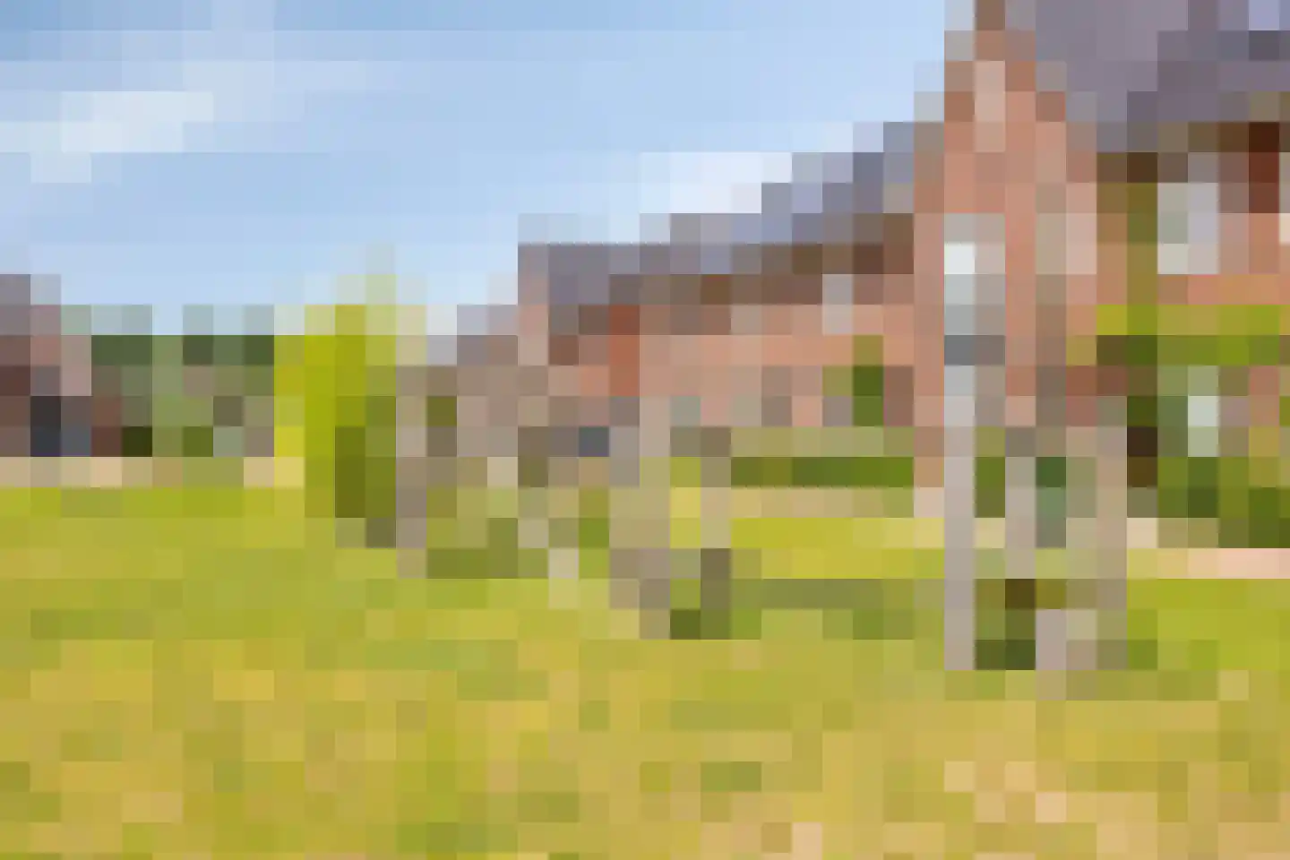 Steenmarter 16 Boxtel thumbnail 43