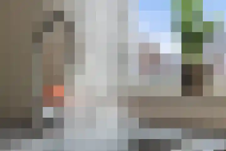Steenmarter 36 Boxtel thumbnail 9