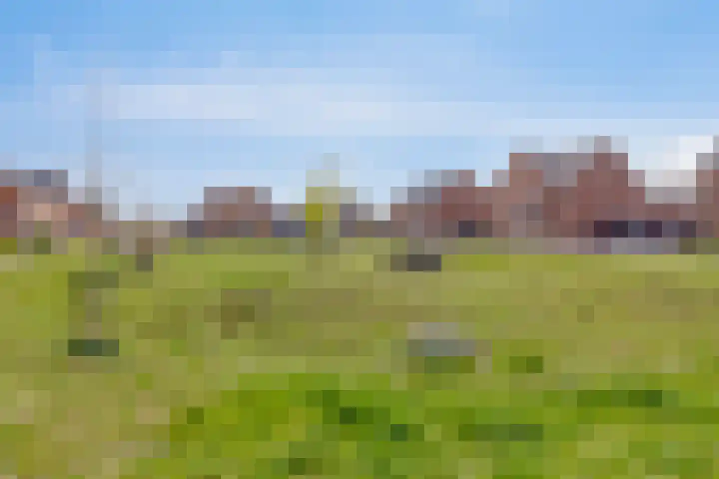 Steenmarter 40 Boxtel thumbnail 29