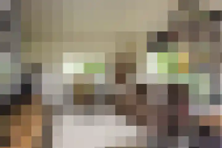 Steenmatenweg 2 Agelo thumbnail 10
