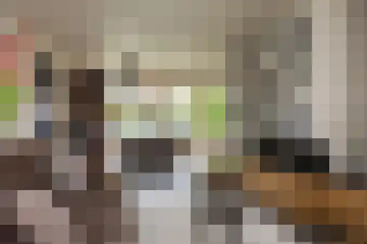 Steenmatenweg 2 Agelo thumbnail 11
