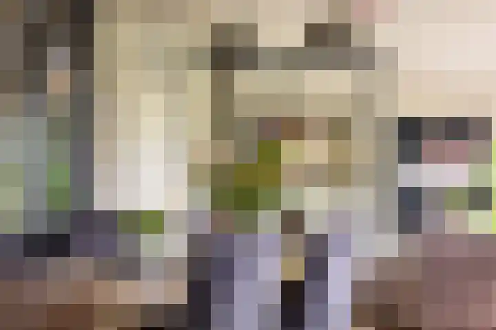 Steenmatenweg 2 Agelo thumbnail 13