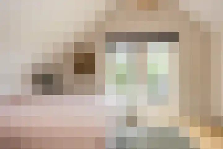 Steenmatenweg 2 Agelo thumbnail 27