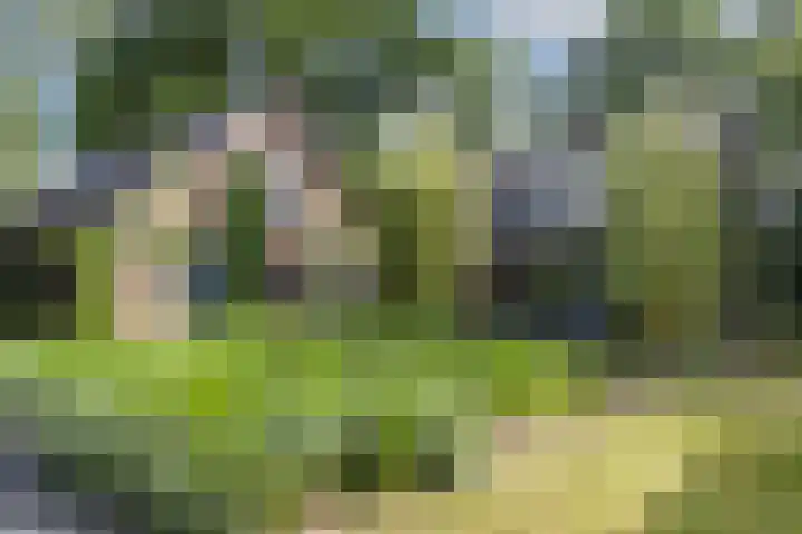 Steenmatenweg 2 Agelo thumbnail 32