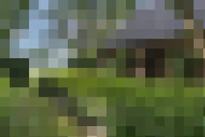 Steenmatenweg 2 Agelo thumbnail 35