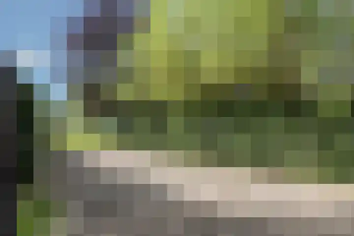 Steenmatenweg 2 Agelo thumbnail 43