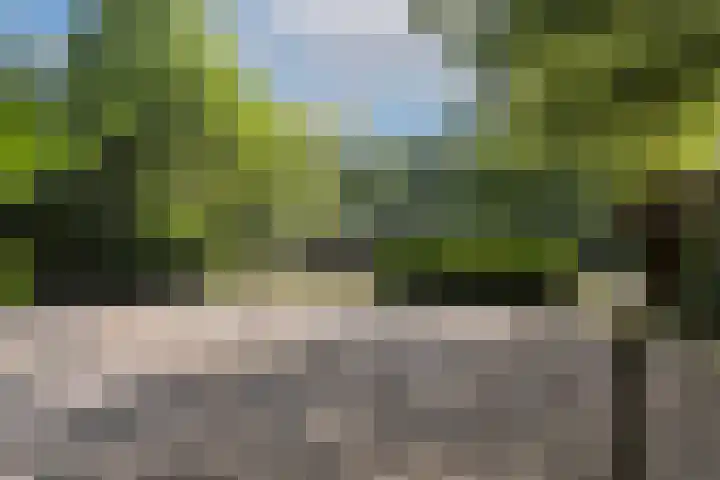 Steenmatenweg 2 Agelo thumbnail 48