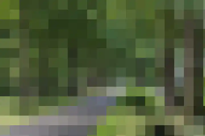 Steenmatenweg 2 Agelo thumbnail 5