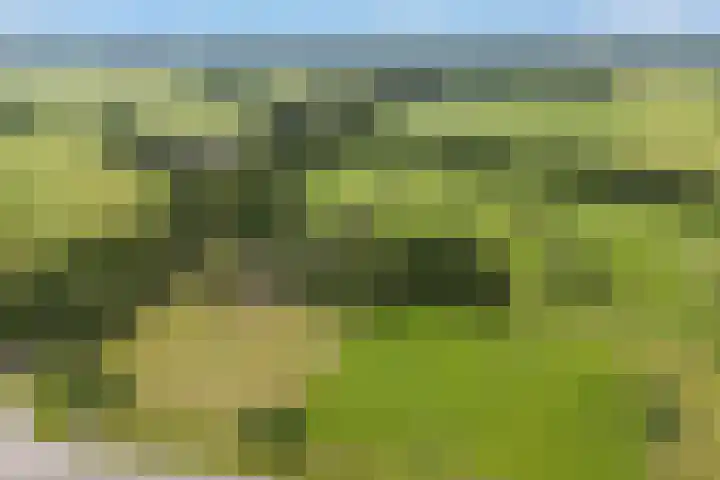 Steenmatenweg 2 Agelo thumbnail 51