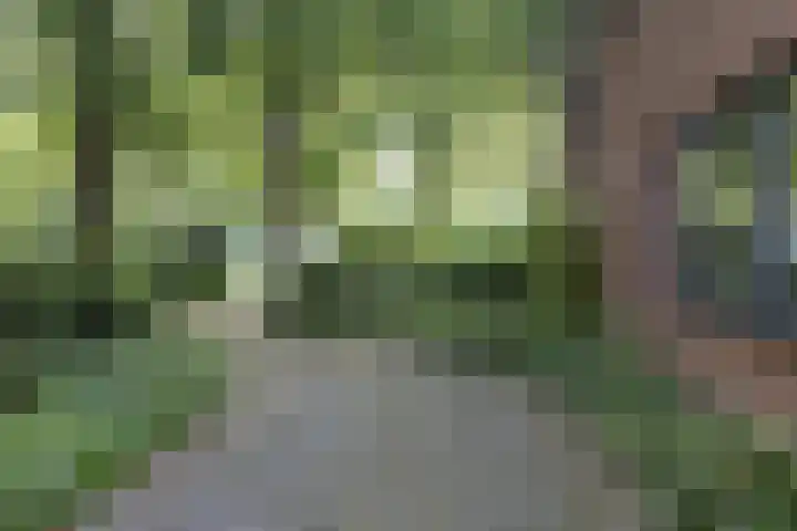 Steenmatenweg 2 Agelo thumbnail 6