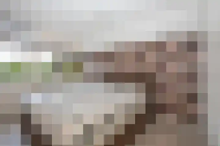 Steenmeijerstraat 61 Hengelo thumbnail 17