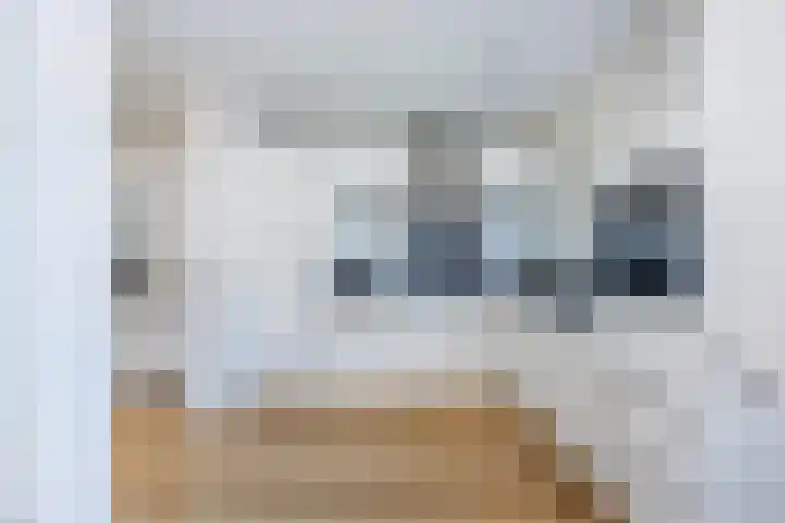 Steenmetsersdreef 10 Maastricht thumbnail 10