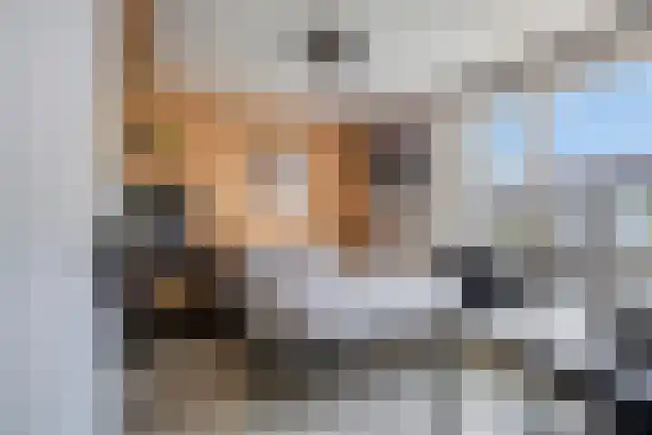 Steenmetsersdreef 10 Maastricht thumbnail 15