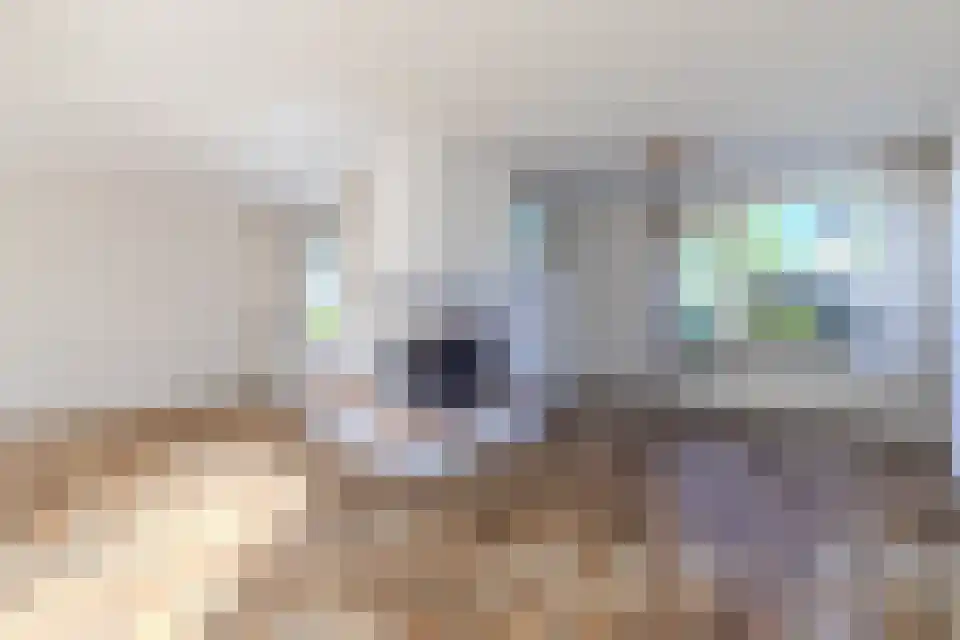 Steenmetsersdreef 11 Maastricht thumbnail 13
