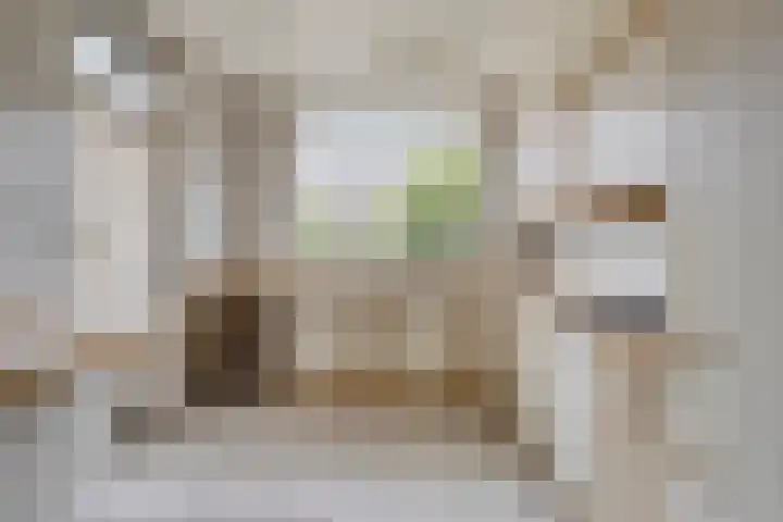 Steenmetsersdreef 5 Maastricht thumbnail 11