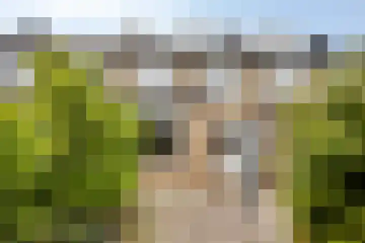 Steenmetsersdreef 5 Maastricht thumbnail 28