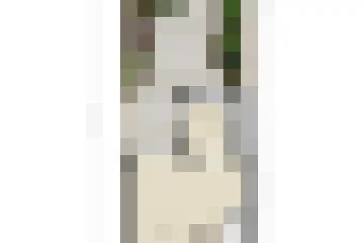 Steenmetsersdreef 5 Maastricht thumbnail 31