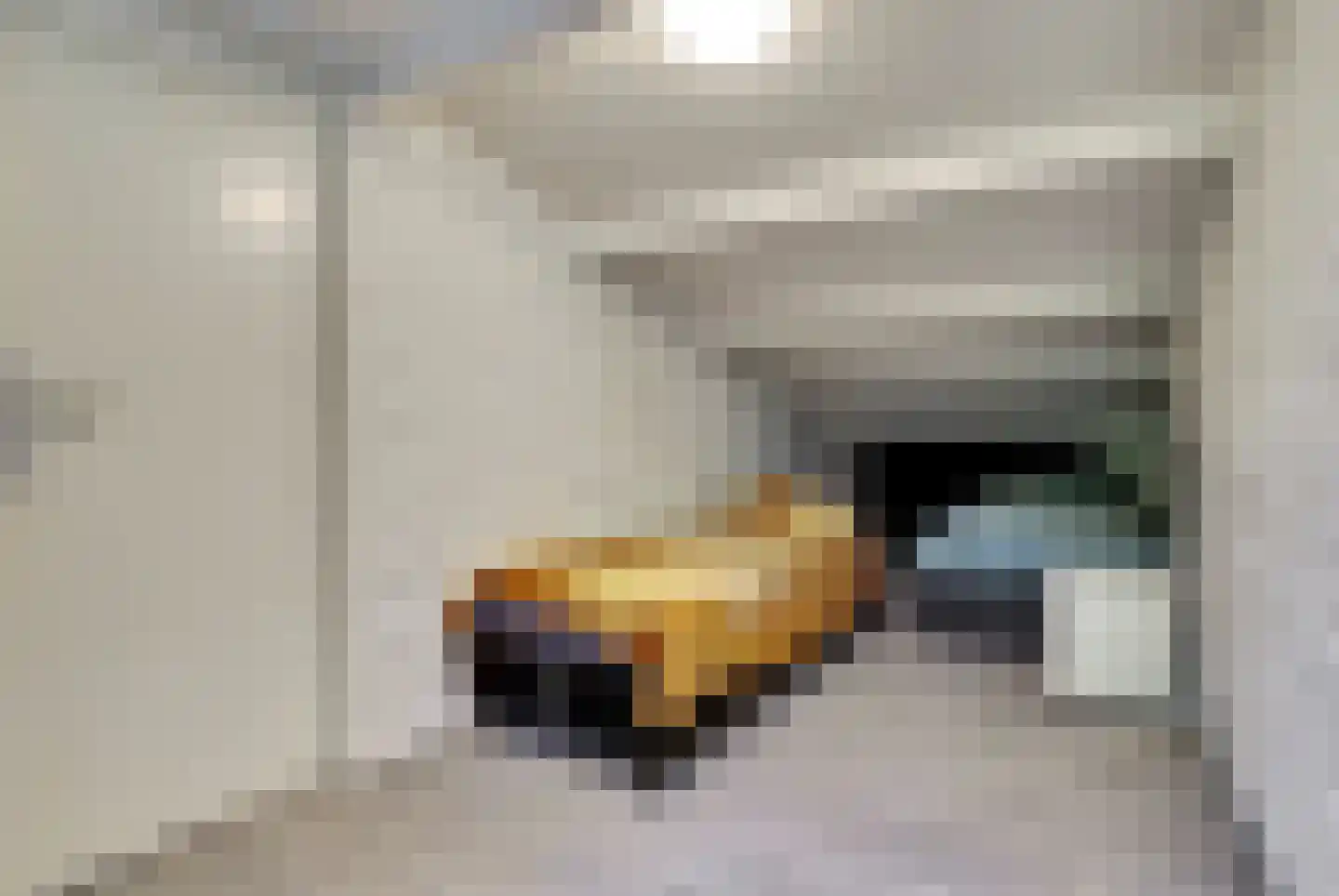 Steenoven 12 B 12 Meijel thumbnail 11