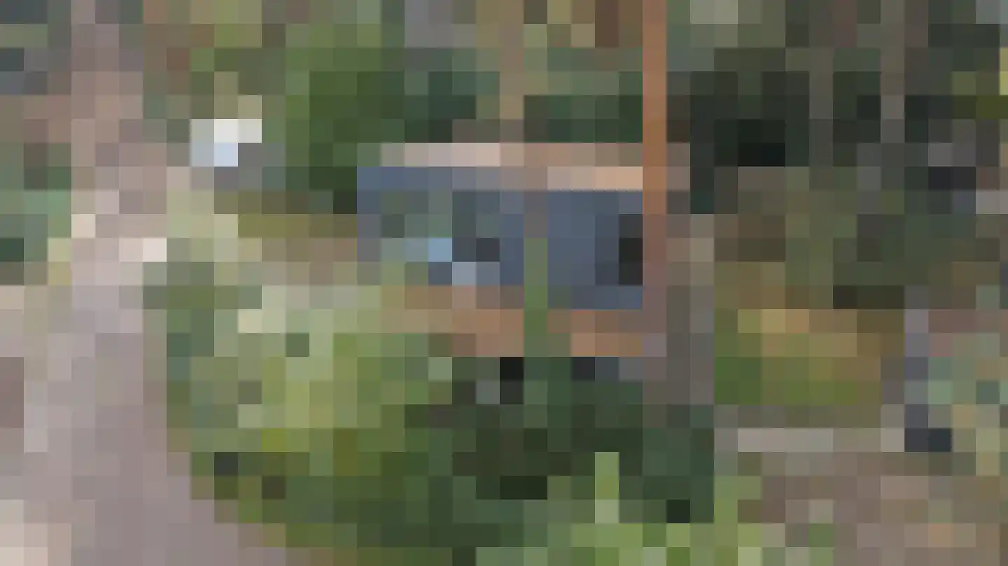 Steenoven 12 B 12 Meijel thumbnail 13