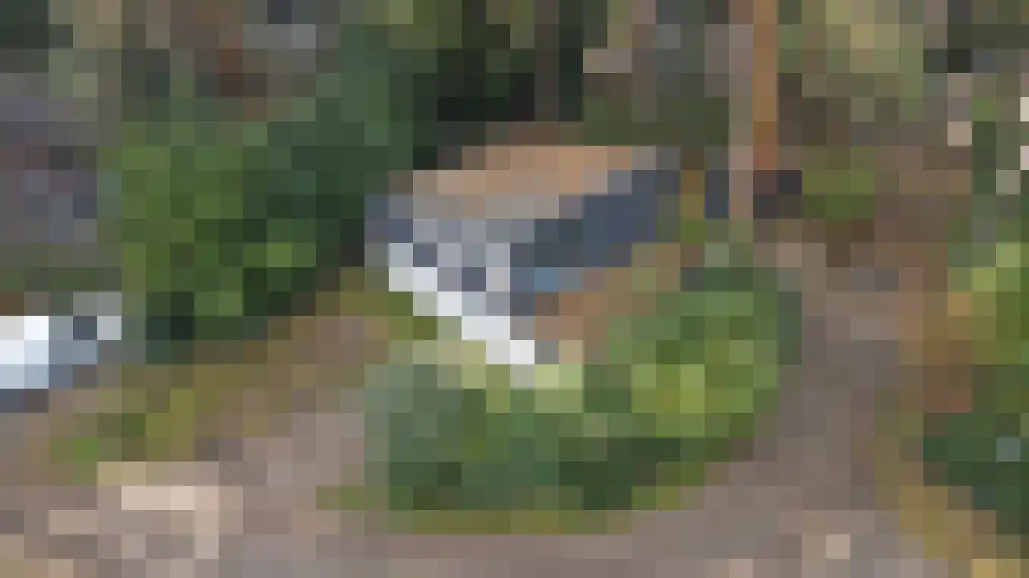 Steenoven 12 B 12 Meijel thumbnail 14