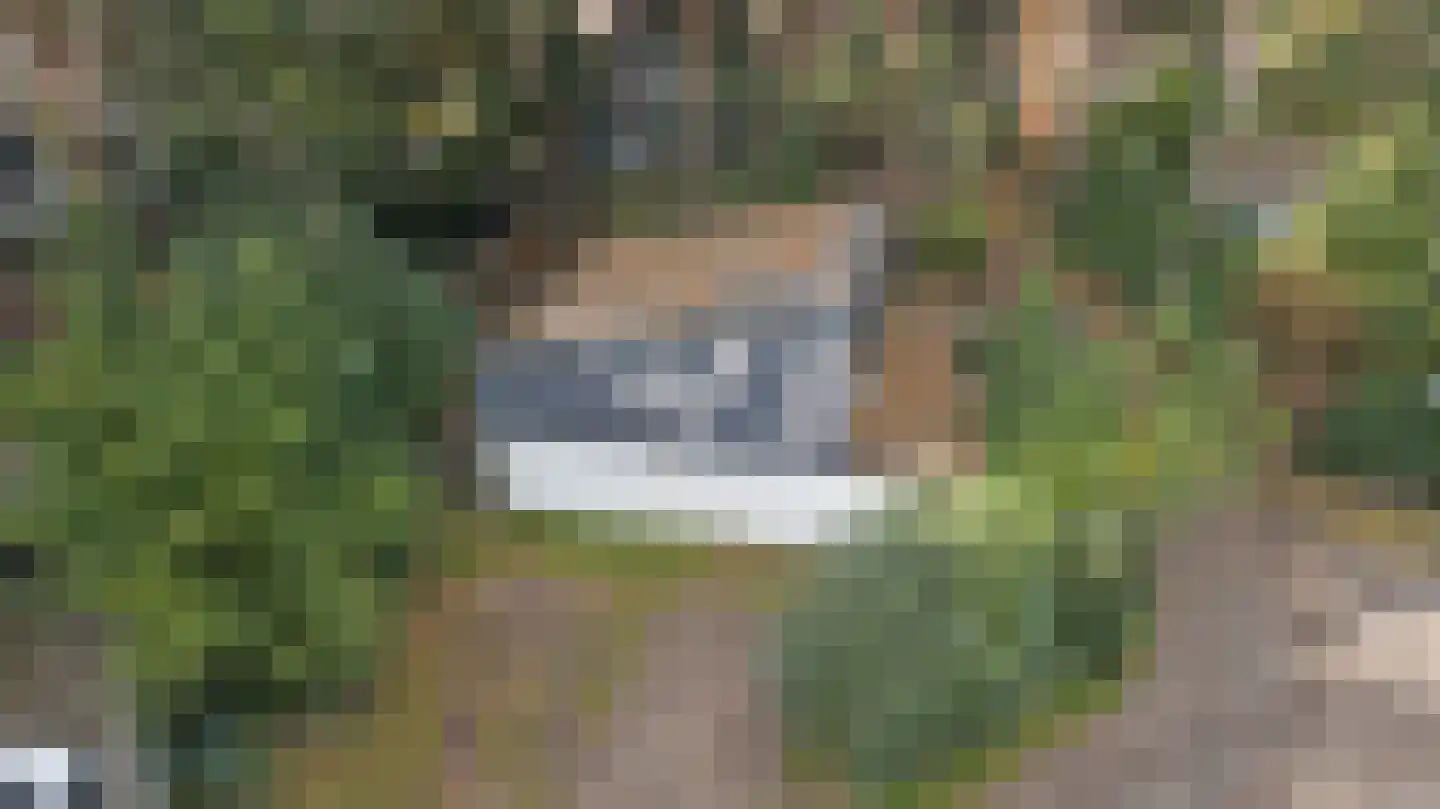 Steenoven 12 B 12 Meijel thumbnail 15
