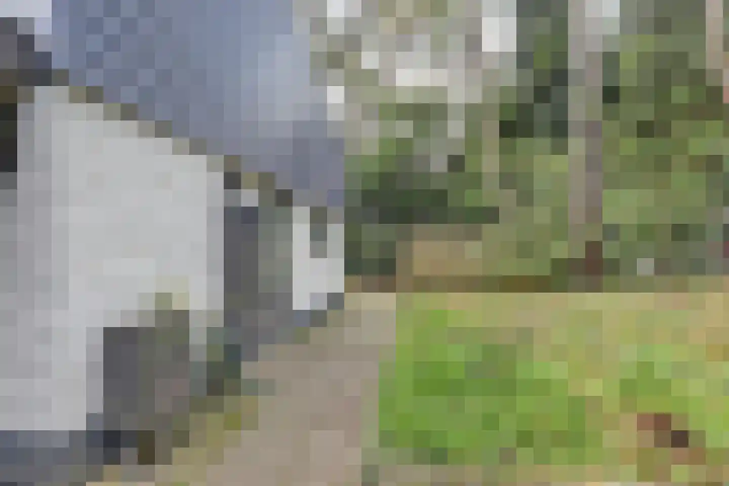 Steenoven 12 B 12 Meijel thumbnail 18