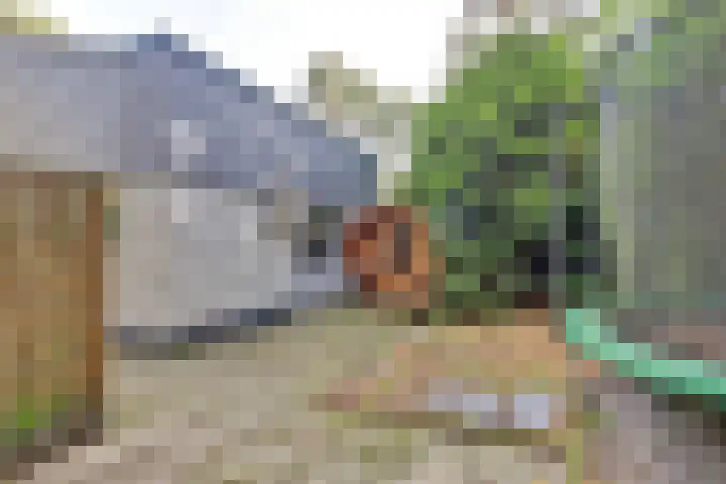 Steenoven 12 B 12 Meijel thumbnail 19