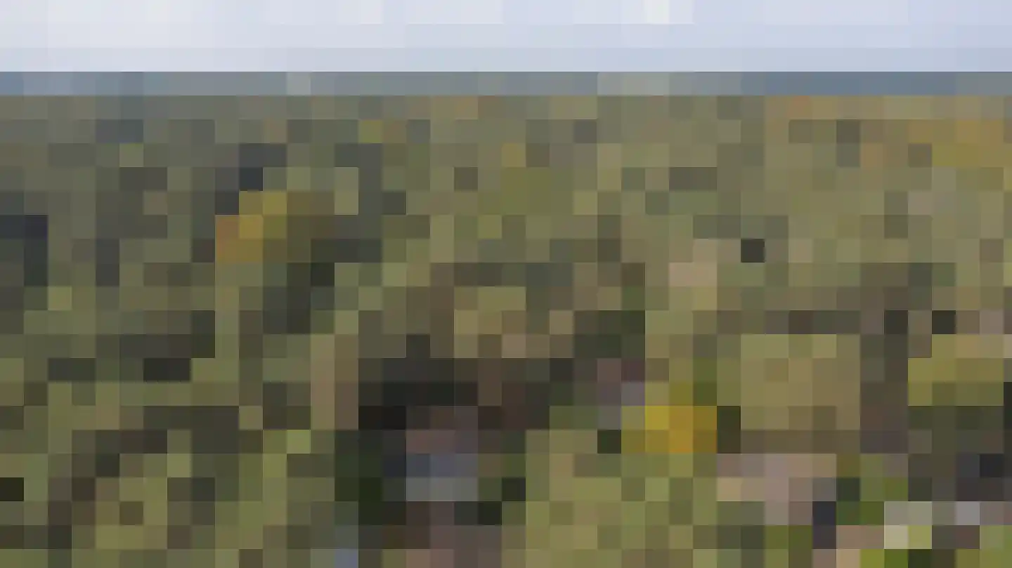 Steenoven 12 B 12 Meijel thumbnail 21