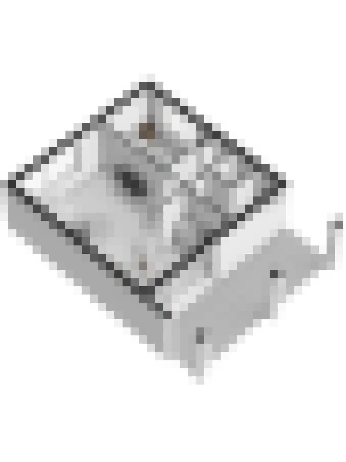 Steenoven 12 B 12 Meijel thumbnail 25