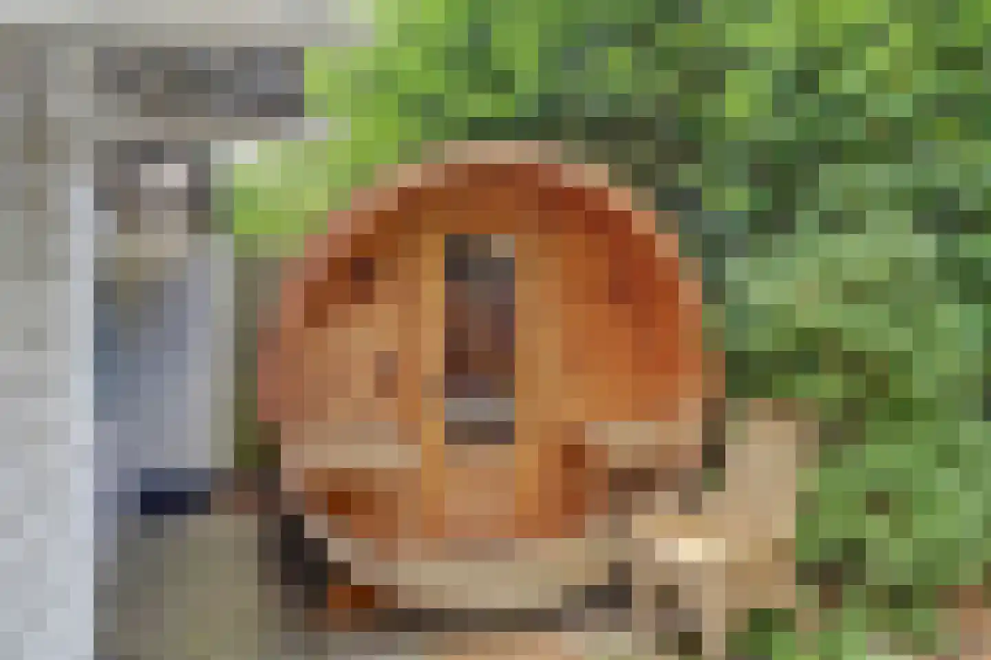 Steenoven 12 B 12 Meijel thumbnail 5