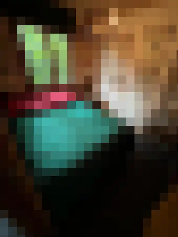 Steenoven 12 B 66 Meijel thumbnail 11