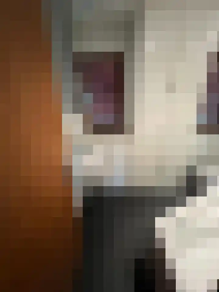 Steenoven 12 B 66 Meijel thumbnail 12