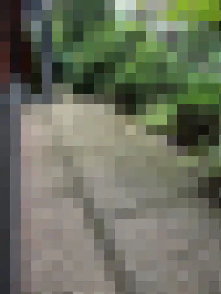 Steenoven 12 B 66 Meijel thumbnail 13
