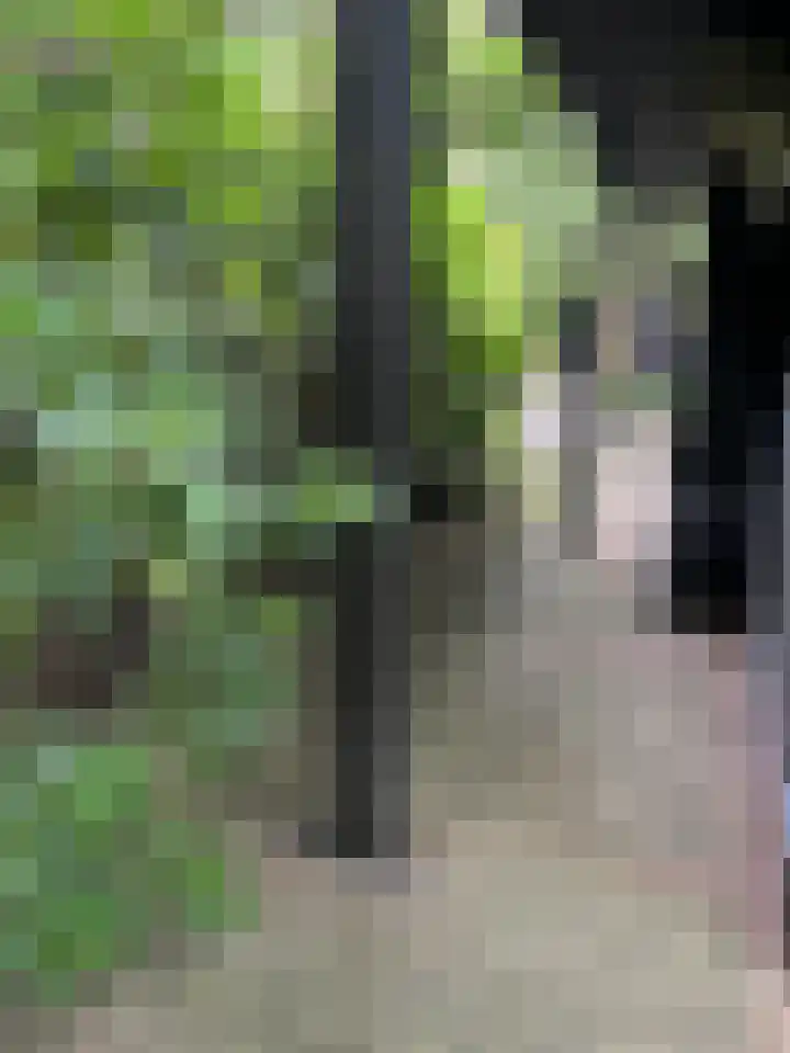 Steenoven 12 B 66 Meijel thumbnail 14